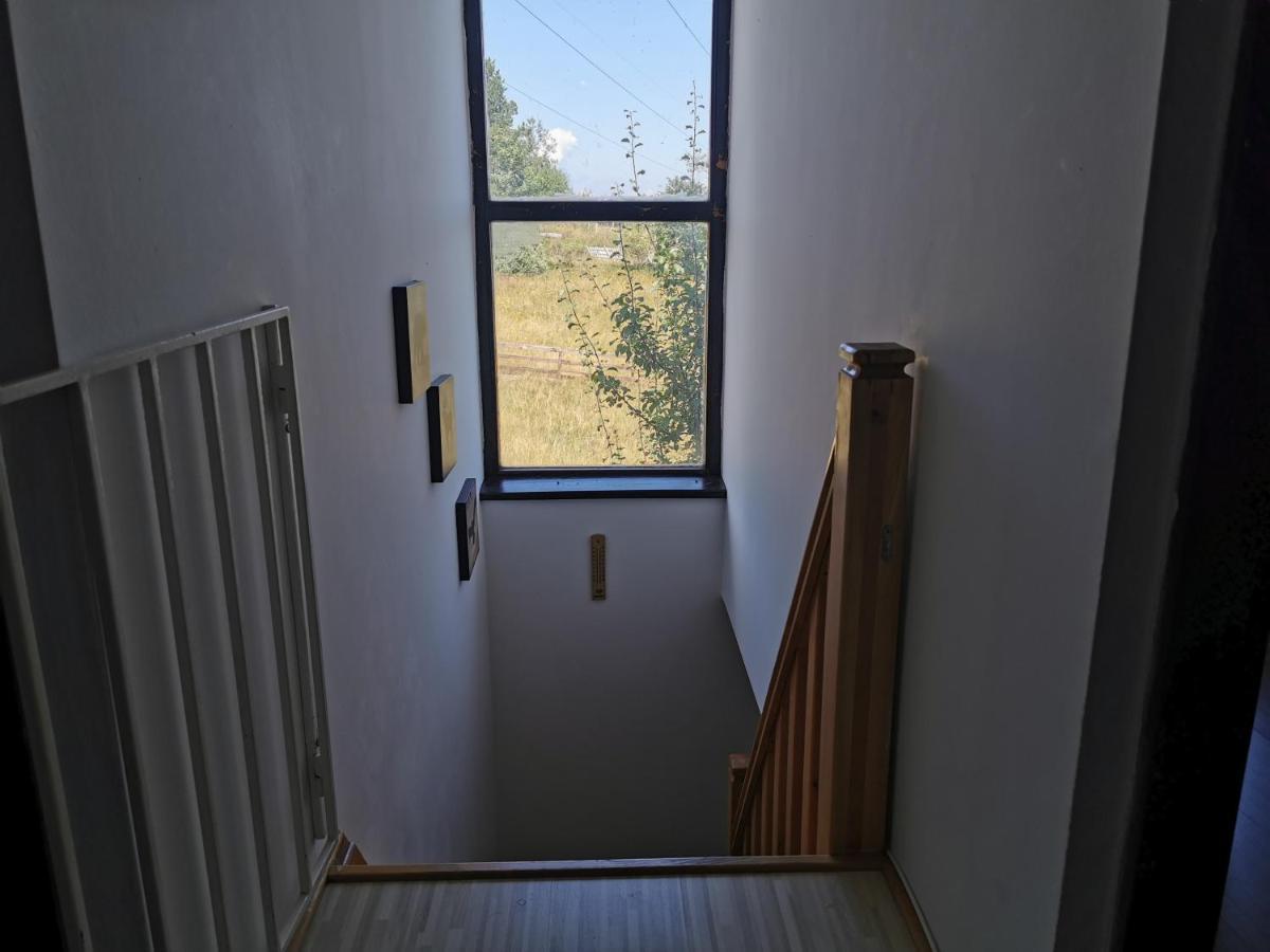 Vila Hajdi Planina Tara 巴伊纳巴什塔 外观 照片