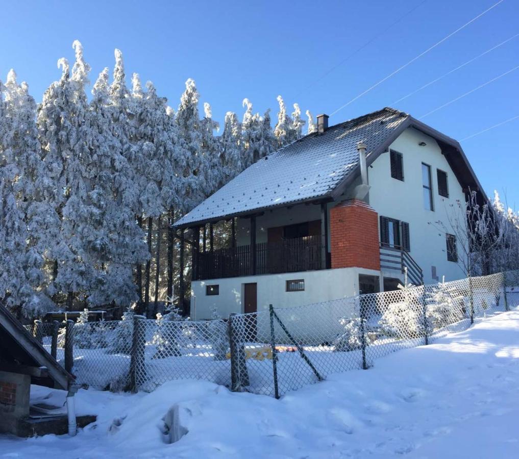 Vila Hajdi Planina Tara 巴伊纳巴什塔 外观 照片