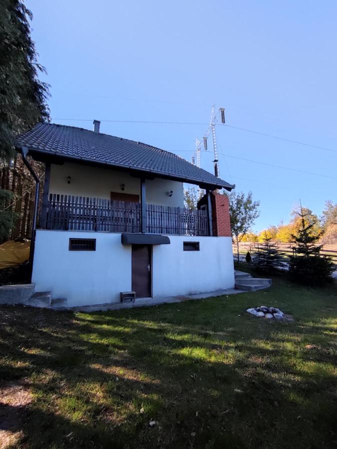 Vila Hajdi Planina Tara 巴伊纳巴什塔 外观 照片