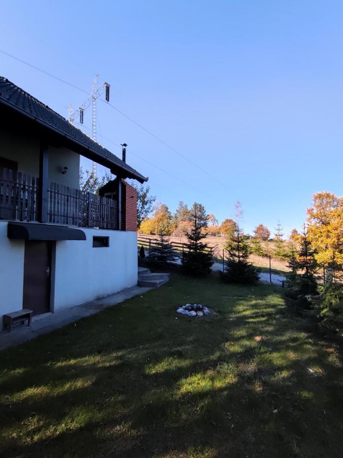 Vila Hajdi Planina Tara 巴伊纳巴什塔 外观 照片