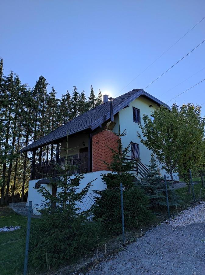 Vila Hajdi Planina Tara 巴伊纳巴什塔 外观 照片