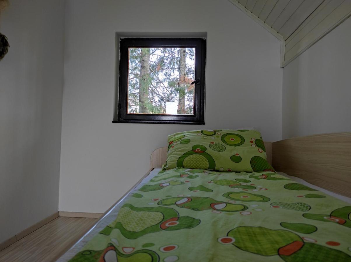 Vila Hajdi Planina Tara 巴伊纳巴什塔 外观 照片