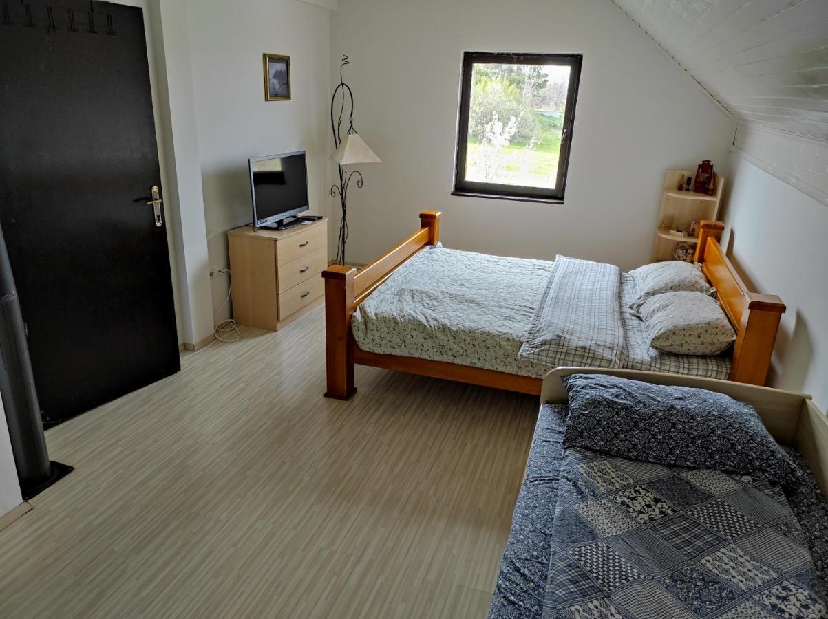 Vila Hajdi Planina Tara 巴伊纳巴什塔 外观 照片