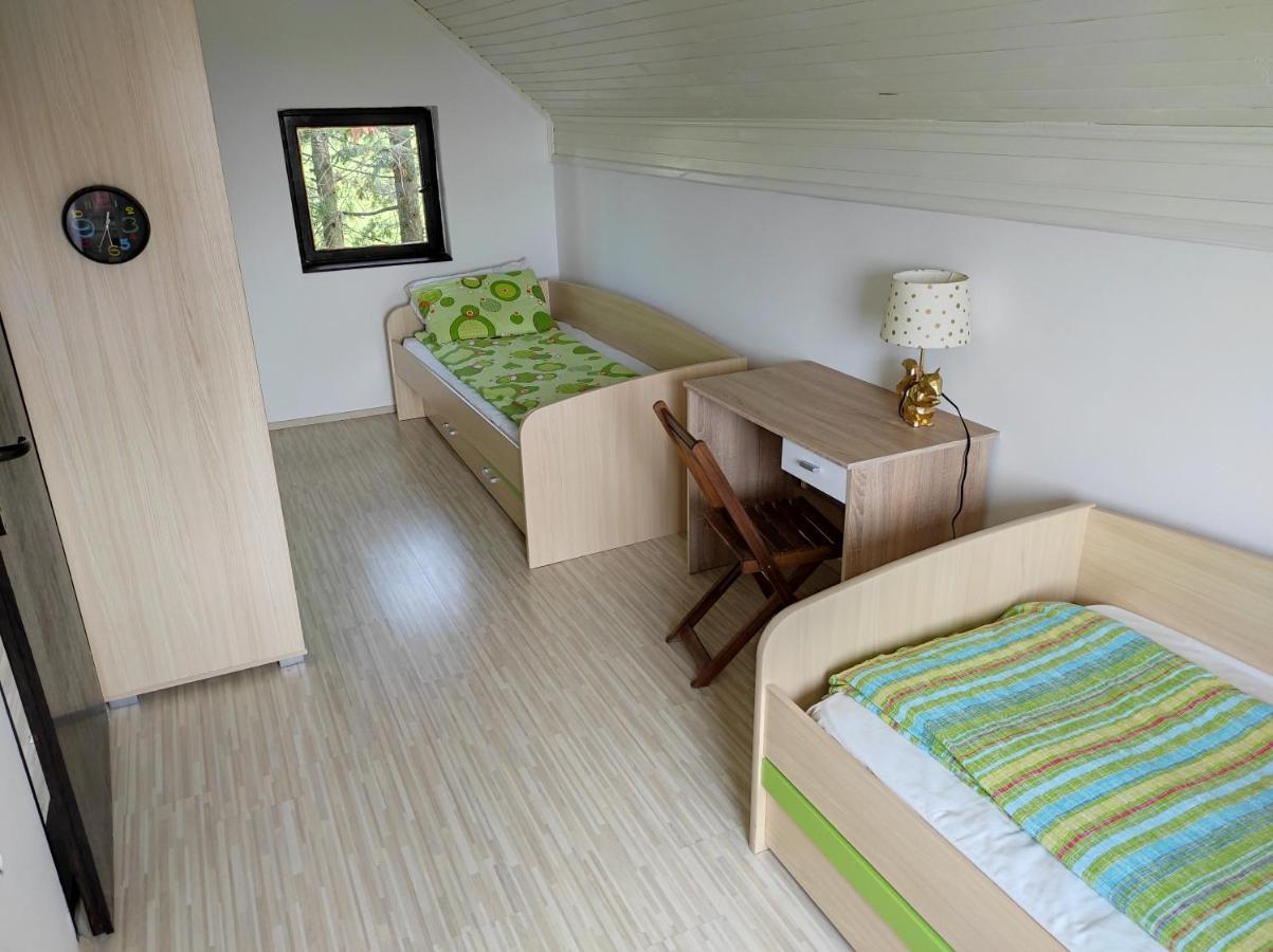 Vila Hajdi Planina Tara 巴伊纳巴什塔 外观 照片