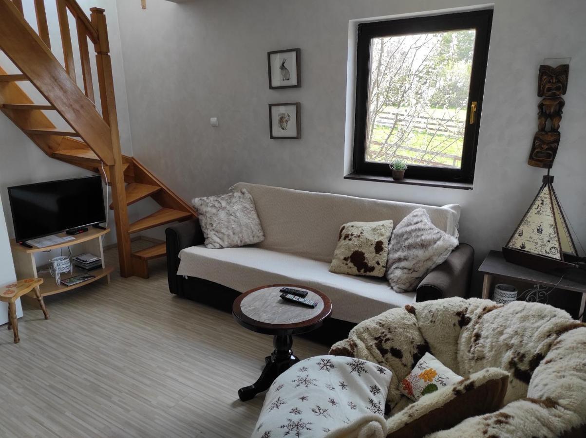 Vila Hajdi Planina Tara 巴伊纳巴什塔 外观 照片