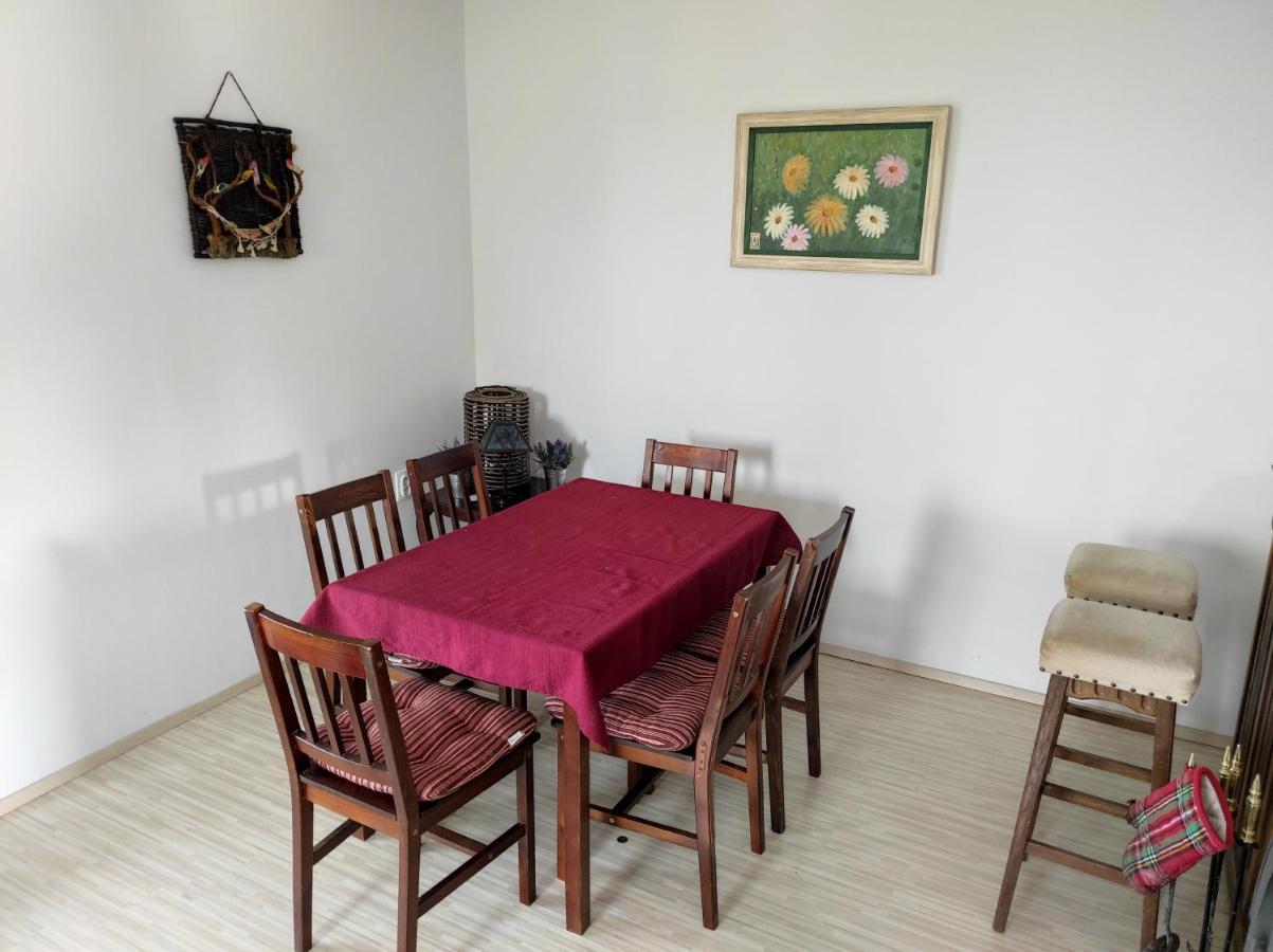 Vila Hajdi Planina Tara 巴伊纳巴什塔 外观 照片