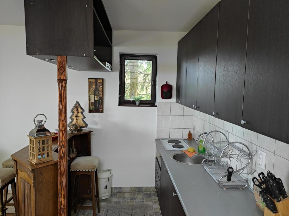 Vila Hajdi Planina Tara 巴伊纳巴什塔 外观 照片
