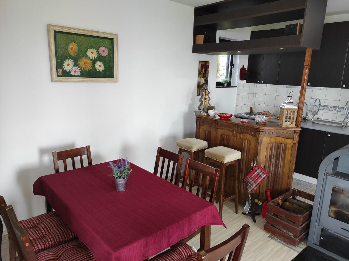 Vila Hajdi Planina Tara 巴伊纳巴什塔 外观 照片