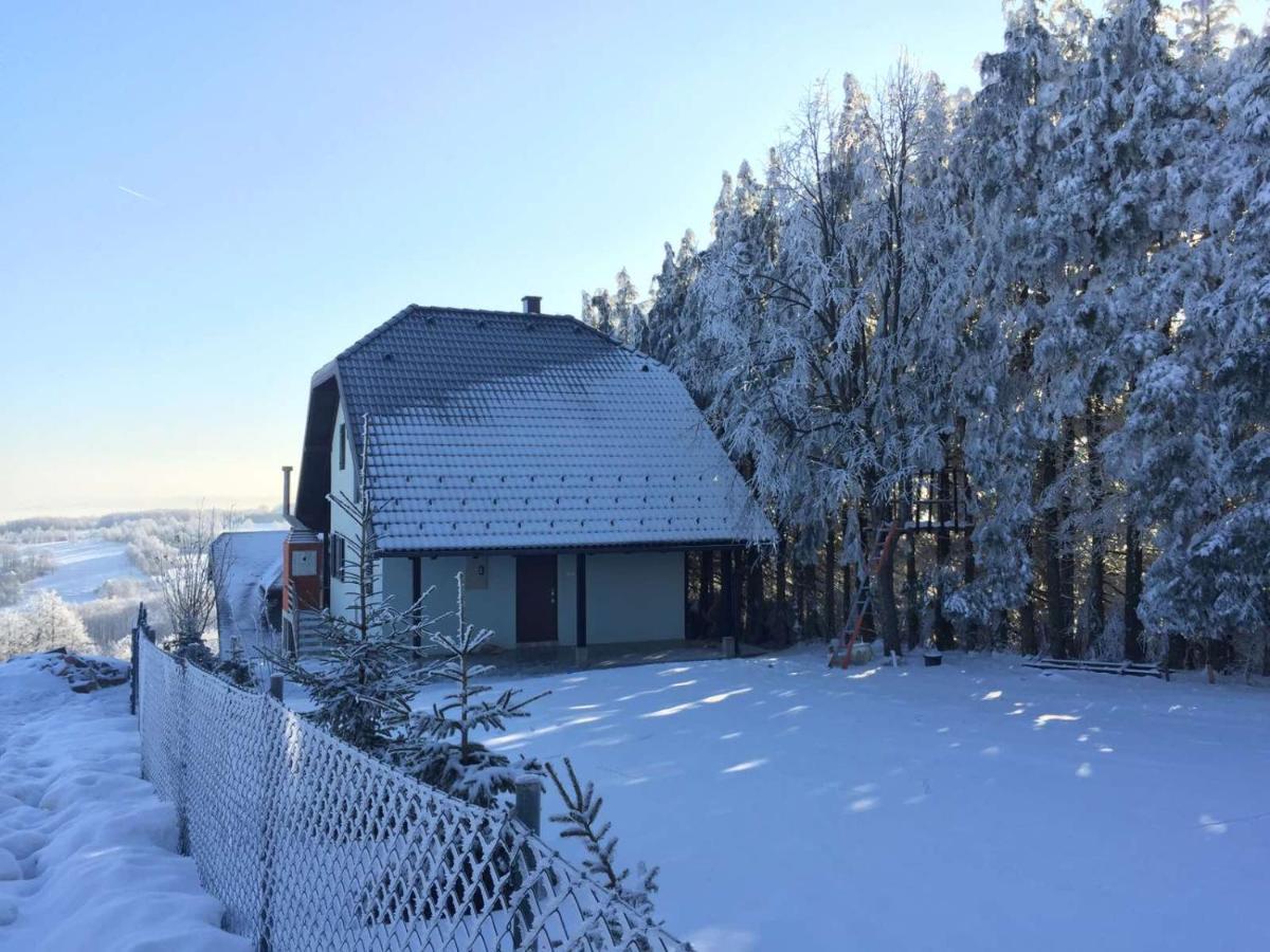 Vila Hajdi Planina Tara 巴伊纳巴什塔 外观 照片